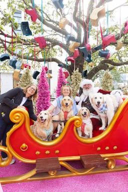 SantaPawsPhoto-3 lores.jpg